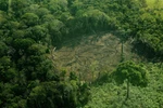 Nhiều diện tích rừng bị chặt phá tại khu vực Tây Amazon, Brazil. (Ảnh: AFP/TTXVN)
