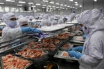 Dây chuyền chế biến tôm đông lạnh xuất khẩu của Công ty Cổ phần Chế biến thủy sản xuất khẩu Thuận Phước. (Ảnh: Vũ Sinh/TTXVN)