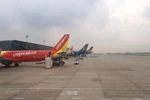 Máy bay của các hãng hàng không tại sân bay Nội Bài. (Ảnh: Việt Hùng/Vietnam+) 