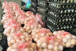 Giá trứng đang giảm mạnh. (Ảnh: Minh Hiếu/Vietnam+)
