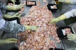 Ảnh minh họa. (Nguồn: Bloomberg)