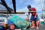 Ngư dân Võ Quốc Nguyện, thuyền trưởng tàu cá PY-90945 thực hiện việc đem rác thải về bờ sau mỗi chuyến biển. (Ảnh: Tường Quân/TTXVN)