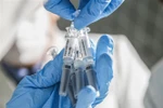 Vắcxin COVID-19 do Công ty Biotec (CNBG) thuộc Tập đoàn dược phẩm Sinopharm bào chế. (Ảnh: THX/TTXVN)