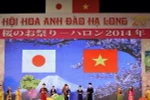 Sắp tổ chức Lễ hội hoa Anh đào Hạ Long 2015 tại Quảng Ninh 