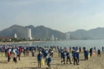 Hơn 1.000 sinh viên tham gia nhặt rác, làm sạch bãi biển Nha Trang. (Ảnh: Nguyên Lý/TTXVN)