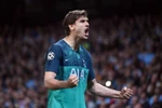 "Vua sư tử già" Fernando Llorente đưa Tottenham vào bán kết Champions League. (Nguồn: BR)