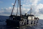 Ảnh minh họa. (Nguồn: Stop Illegal Fishing)