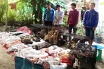 Tây Ninh: Tạm giữ 6 nghi phạm bắt trộm 47 con chó trong một đêm