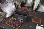Bộ Y tế xác minh vụ thuốc chữa ung thư được làm từ bột than tre