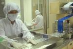 Sản xuất thuốc tại một nhà máy thuốc trong nước. (Ảnh: TTXVN/Vietnam+)