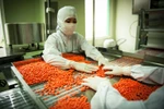 Sản xuất thuốc tại một nhà máy sản xuất trong nước theo tiêu chuẩn quốc tế. (Ảnh: TTXVN/Vietnam+)
