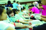 Các bạn trẻ tham gia hiến máu tình nguyện. (Ảnh: PV/Vietnam+)