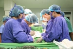Các bác sỹ tiến hành ca ghép thận. (Ảnh: PV/Vietnam+)