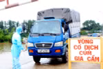 70% các bệnh truyền nhiễm lây sang người là bệnh mới nổi 