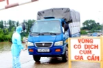 70% các bệnh truyền nhiễm lây sang người là bệnh mới nổi 
