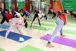 Theo các chuyên gia, người tập Yoga cần tập đúng và không quá sức. (Ảnh: Doãn Đức/Vietnam+)
