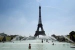 [Video] Một người đàn ông tìm cách trèo lên tháp Eiffel
