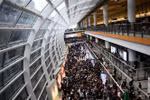 [Video] Sân bay quốc tế Hong Kong tê liệt vì các cuộc biểu tình