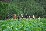 Nhiều du khách nước ngoài rất thích đến Bích Động, Ninh Bình vào mùa sen nở để được thưởng thức khung cảnh nên thơ tại đây. (Ảnh: Minh Đức/TTXVN)