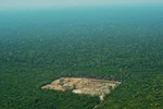 Khoảng rừng Amazon bị chặt phá tại Brazil ngày 22/9/2017. (Ảnh: AFP/TTXVN)