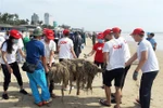 Các tình nguyện viên thu gom rác tại khu vực biển Bãi Sau. (Ảnh: Huỳnh Ngọc Sơn/TTXVN)