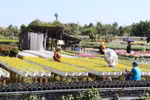Khách du lịch tham quan, chụp ảnh tại Làng hoa kiểng Sa Đéc. (Ảnh: Nguyễn Văn Trí/TTXVN)