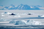 Băng tại lục địa Antarctica (Nam Cực) ngày 17/12/2016. (Nguồn: Kyodo/TTXVN)