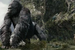 King Kong năm 2005. (Nguồn: yahoo.com)