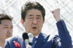 Thủ tướng Nhật Bản Shinzo Abe. (Ảnh: Kyodo/TTXVN)