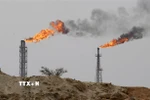 Một cơ sở khai thác dầu của Iran trên đảo Khark. (Ảnh: AFP/TTXVN)