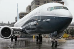 Máy bay Boeing 737 MAX sử dụng động cơ của CFM. (Ảnh: AFP/TTXVN)