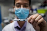 Vắcxin phòng COVID-19 được phát triển bởi công ty công nghệ sinh học Sinovac ở Bắc Kinh, Trung Quốc ngày 29/4/2020. (Ảnh: AFP/TTXVN)