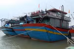 Các tàu cá neo đậu tránh trú bão số 13 tại âu thuyền xã Phú Hải, huyện Phú Vang. (Ảnh: Đỗ Trưởng/TTXVN)
