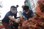 Từng bao củ cải được chất lên thùng xe. (Ảnh: Minh Anh/Vietnam+)