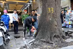 Lực lượng chức năng phường Phạm Đình Hổ, quận Hai Bà Trưng, Hà Nội, giám sát việc tháo dỡ những mảng bê tông ximăng bịt quanh gốc cây sao đen. (Ảnh: Mạnh Khánh/TTXVN)