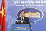 Người Phát ngôn Bộ Ngoại giao Việt Nam Lê Hải Bình. (Ảnh: An Đăng/TTXVN)