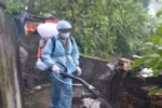 Phun hóa chất phòng chống dịch sốt xuất huyết. (Ảnh: Thu Hoài/TTXVN)