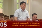 Cục phó Lâm nghiệp: Vị trí sạt lở đèo Bảo Lộc thuộc rừng phòng hộ