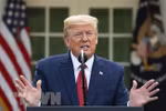 Tổng thống Mỹ Donald Trump thông báo tham dự Hội nghị Cấp cao APEC 