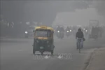 Khói mù ô nhiễm bao phủ bầu trời tại New Delhi, Ấn Độ. (Ảnh: AFP/TTXVN)