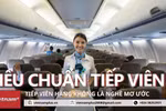 Muốn trở thành tiếp viên hàng không, cần những điều kiện gì?