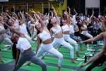 Ngày Hạ chí, ngày dài nhất trong năm, đồng thời là Ngày quốc tế Yoga. (Nguồn: THX/TTXVN)