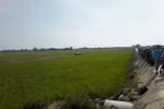 Hiện trường vụ máy bay rơi. (Nguồn: Otofun)