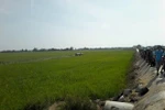Hiện trường vụ máy bay rơi. (Nguồn: Otofun)