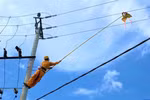 Nhân viên điện lực đang xử lý diều bị vướng vào đường dây điện gây sự cố. (Ảnh: TTXVN phát)