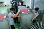 Sau khi đóng thùng tại cơ sở thu mua, các thùng vải sẽ được đưa tới Trung tâm Chiếu xạ Hà Nội​ để tiến hành chiếu xạ, đảm bảo kéo dài thời gian bảo quản, trước khi được kiểm dịch và xuất khẩu. (Ảnh: Thành Đạt/TTXVN)