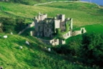 Đại sứ quán Ireland ở Việt Nam tổ chức sự kiện "nhuộm xanh Hà Nội"