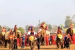 Có tới 68 chú voi tham gia lễ hội năm nay. (Ảnh: Phạm Kiên/Vietnam+)