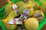 Xuất chuyến hàng bưởi đỏ Tân Lạc đầu tiên sang thị trường Anh 