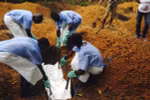 Tốc độ lây lan của dịch Ebola ở Tây Phi tăng gần gấp đôi